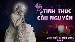 HÃY ĂN NĂN SÁM HỐI