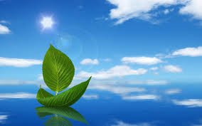 THÔNG ĐIỆP LAUDATO SI’ (P.14)