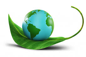 THÔNG ĐIỆP LAUDATO SI’ (P.10)