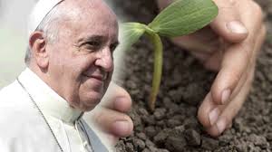 THÔNG ĐIỆP LAUDATO SI’ (P.11)
